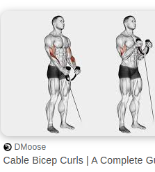 Cable Curl